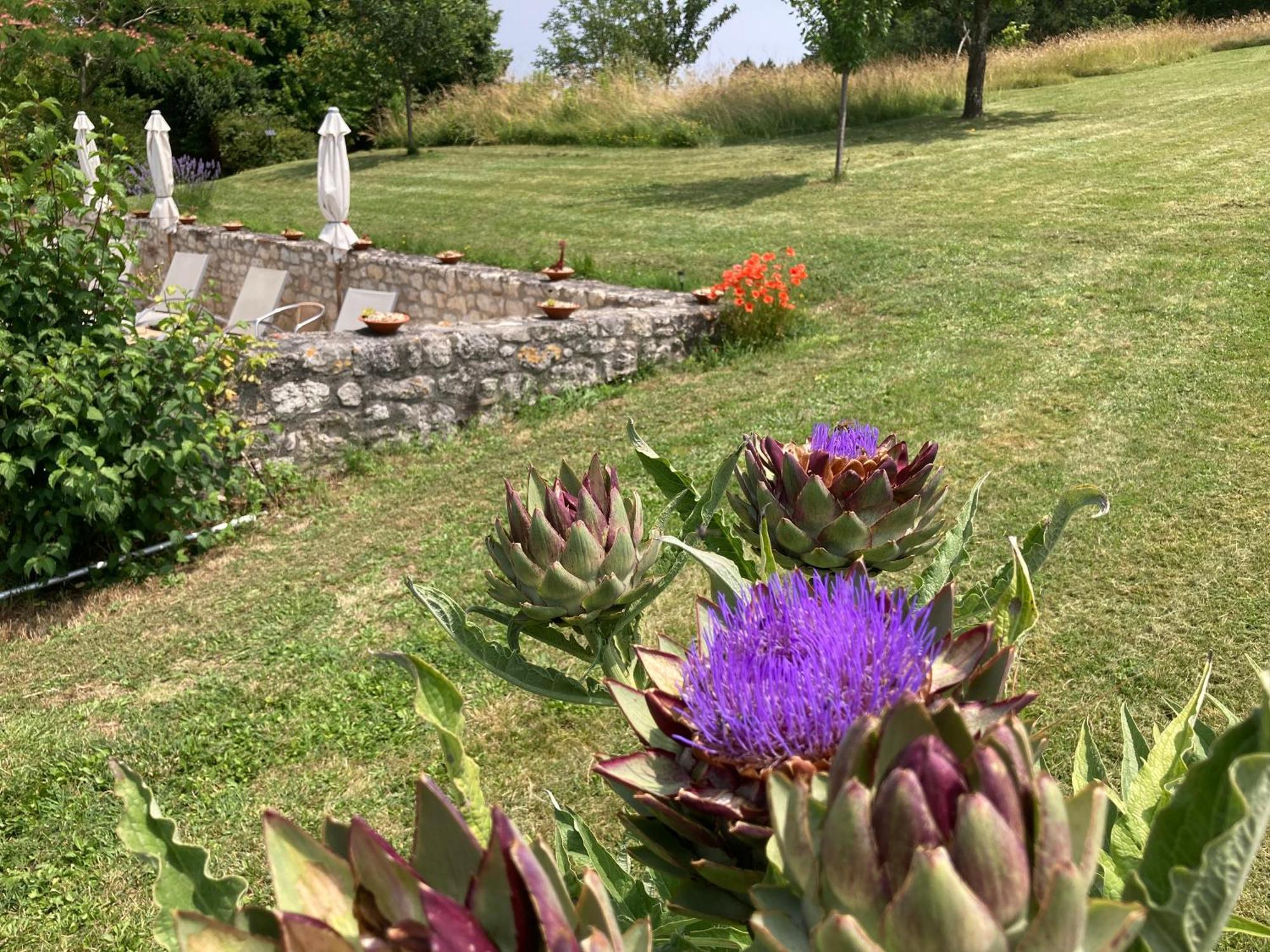La Bastide Portoly B&B "Pruneaux" Penne-dʼAgenais Dış mekan fotoğraf